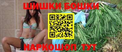 крисы Партизанск